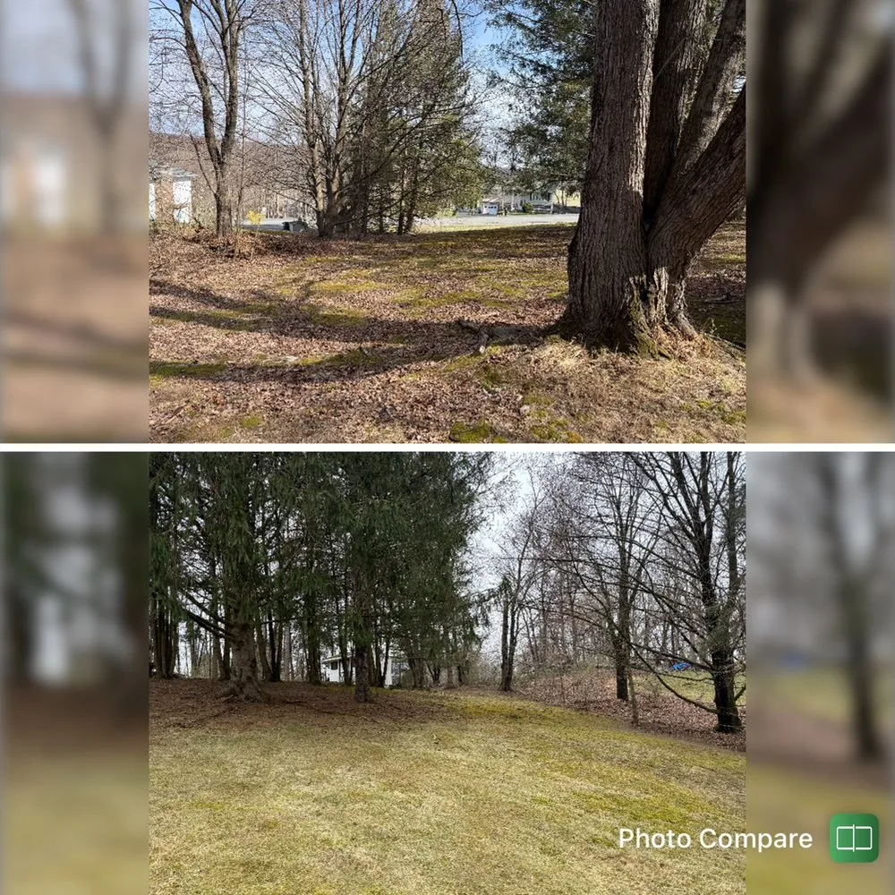 Expert lawn mowing service in Middletown, NY by JV LAROSE