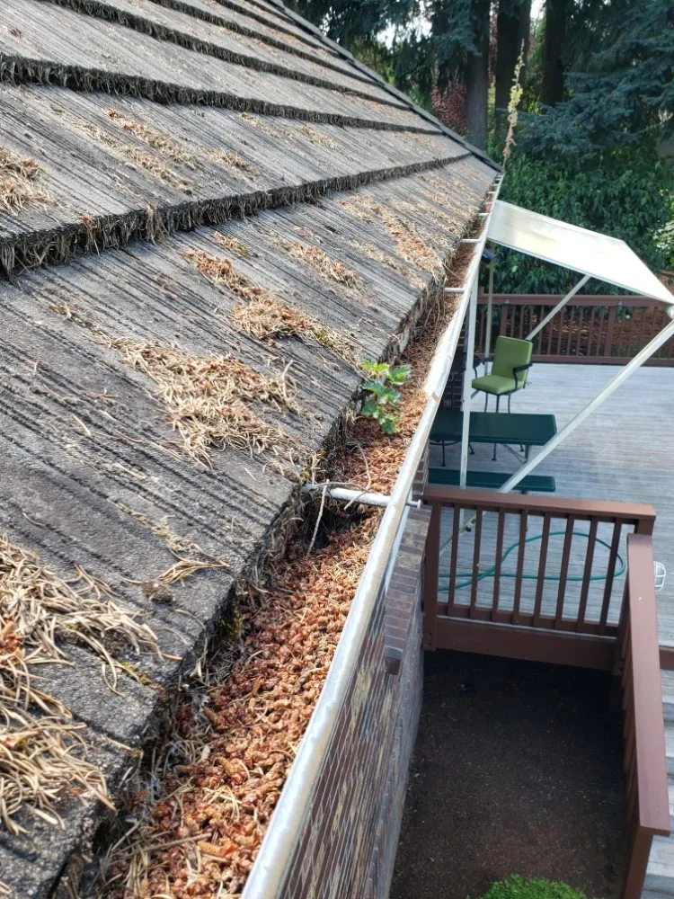 Local yard cleanup service in Tualatin, OR by JV Lawn and Garden Maintenance