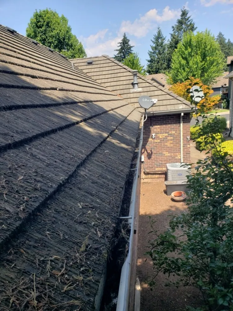 Top-rated yard cleanup service in Tualatin, OR by JV Lawn and Garden Maintenance