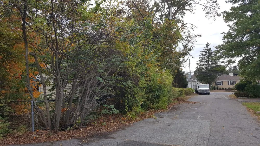 Affordable garden landscaping experts serving Stamford, CT - JV Lawn and Garden