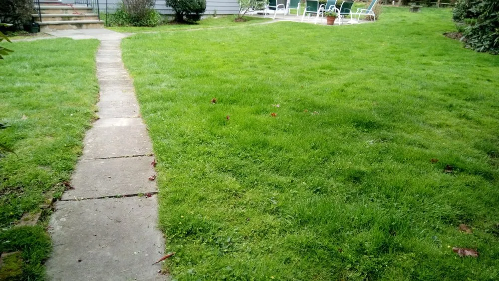 Professional residential landscaping in Stamford, CT by JV Lawn and Garden