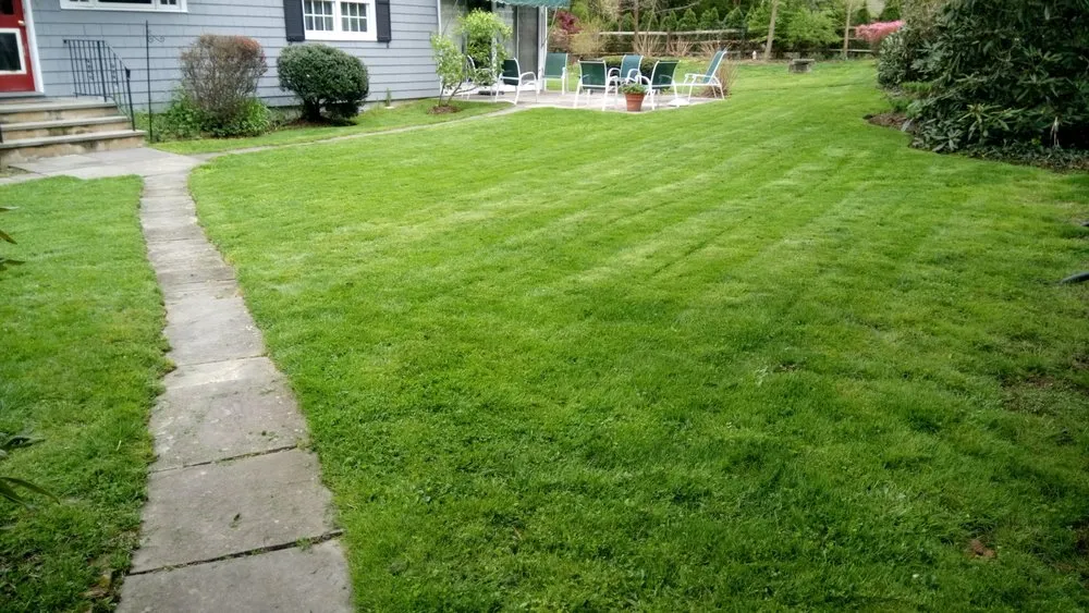 Reliable yard maintenance for beautiful yards in Stamford, CT by JV Lawn and Garden