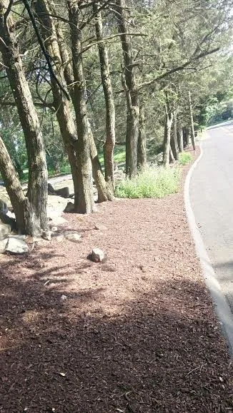 Top-rated yard maintenance for residential properties across Stamford, CT - JV Lawn and Garden