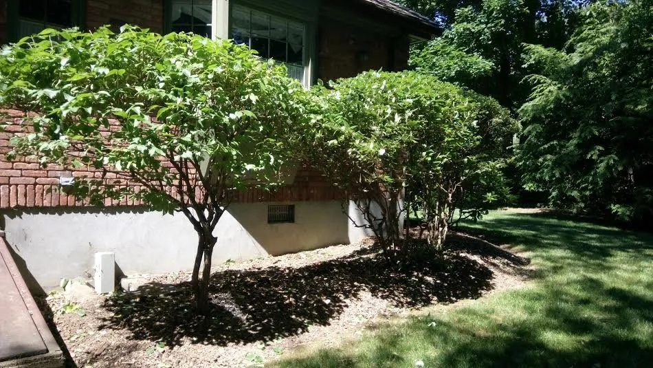 Professional yard maintenance experts serving Stamford, CT - JV Lawn and Garden