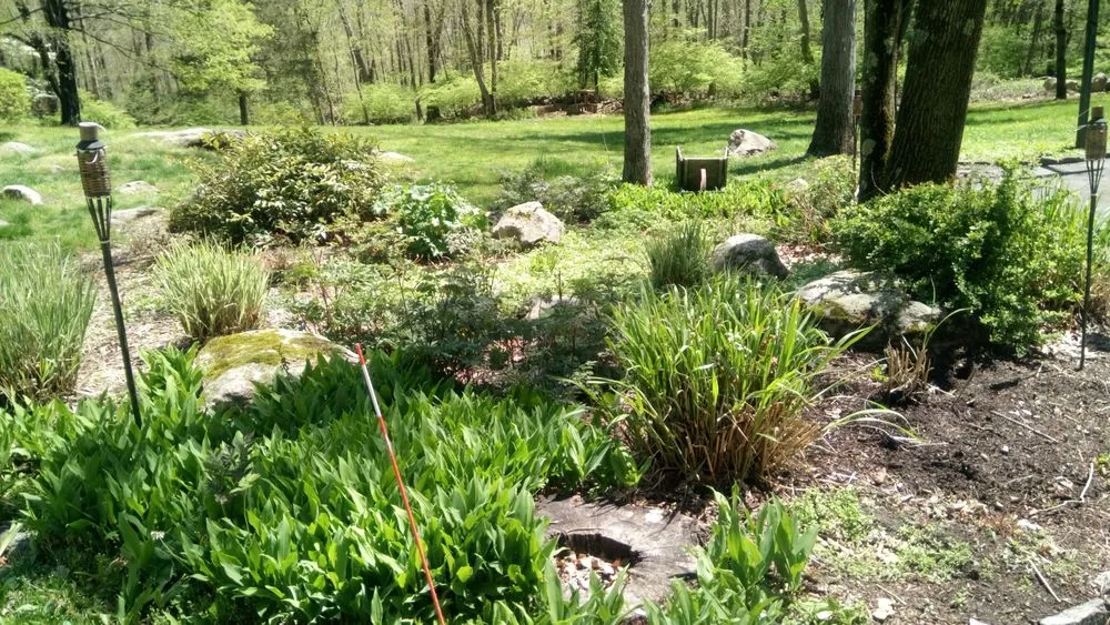 Affordable yard maintenance experts serving Stamford, CT - JV Lawn and Garden