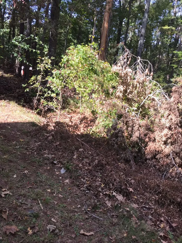 Custom yard maintenance in Madison, GA by JV Lawn Care