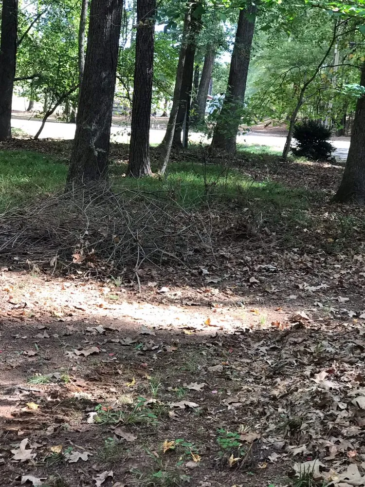 Reliable lawn care service near you in Madison, GA by JV Lawn Care