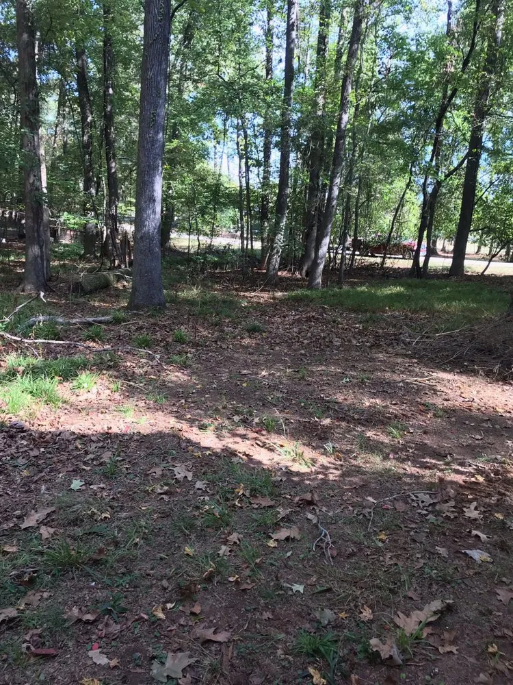 Trusted yard maintenance for homes in Madison, GA by JV Lawn Care