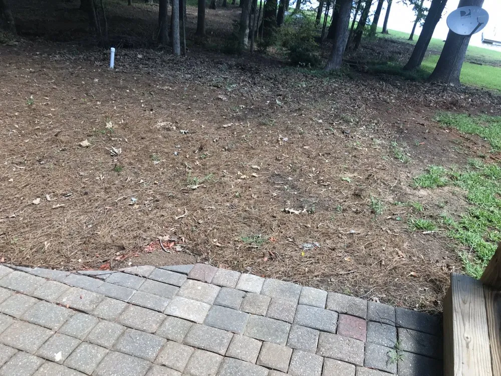 Local landscape design in Madison, GA by JV Lawn Care