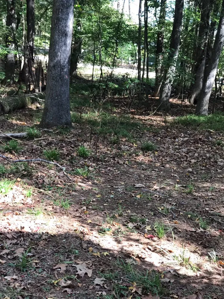 Professional residential landscaping for outdoor upgrades across Madison, GA - JV Lawn Care