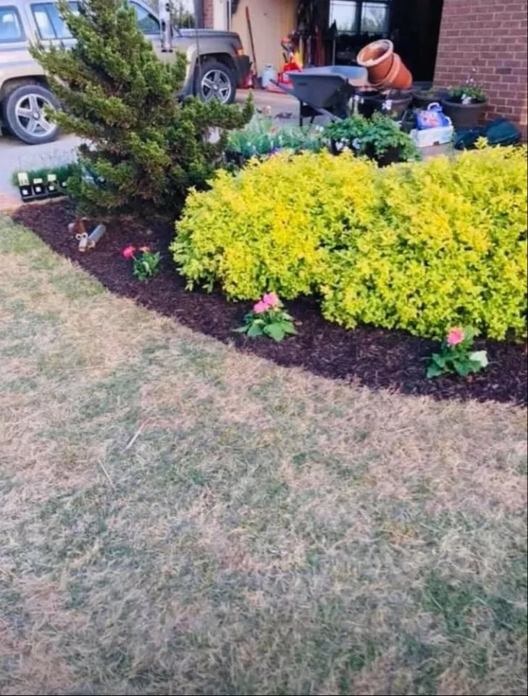 Reliable landscape design experts serving Madison, GA - JV Lawn Care