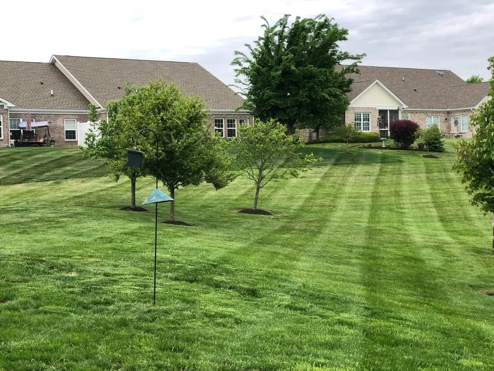 Top-rated yard maintenance for outdoor upgrades in Indianapolis, IN by J&V Lawncare
