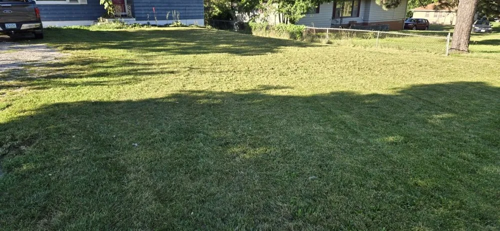 Professional yard cleanup service near you across Des Moines, IA - JV Mowing