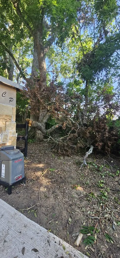 Trusted landscape installation for outdoor upgrades in Prosper, TX by Jv Outdoor Solutions