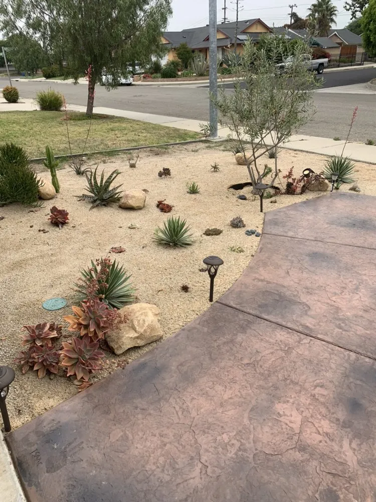 Top-rated lawn care service experts serving Santa Maria, CA - Jv Performance Landscape