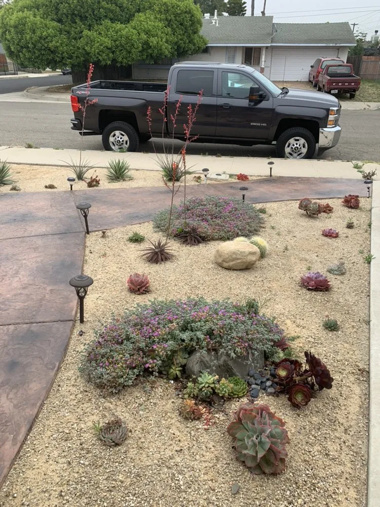 Professional yard cleanup service in Santa Maria, CA by Jv Performance Landscape