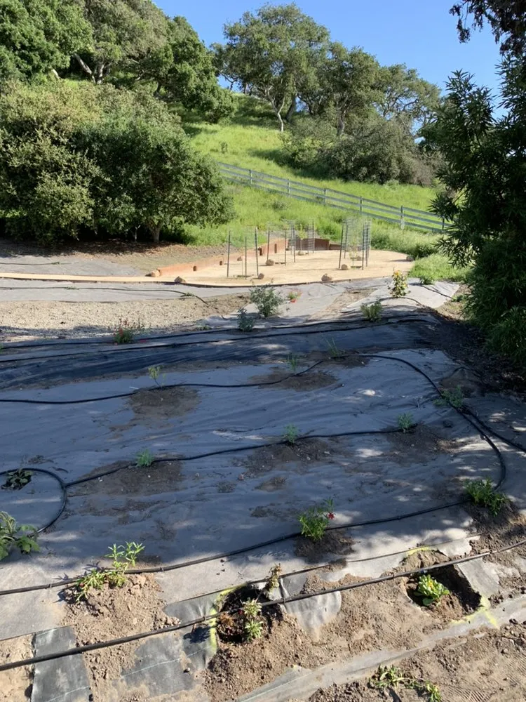 Reliable garden landscaping in Santa Maria, CA by Jv Performance Landscape