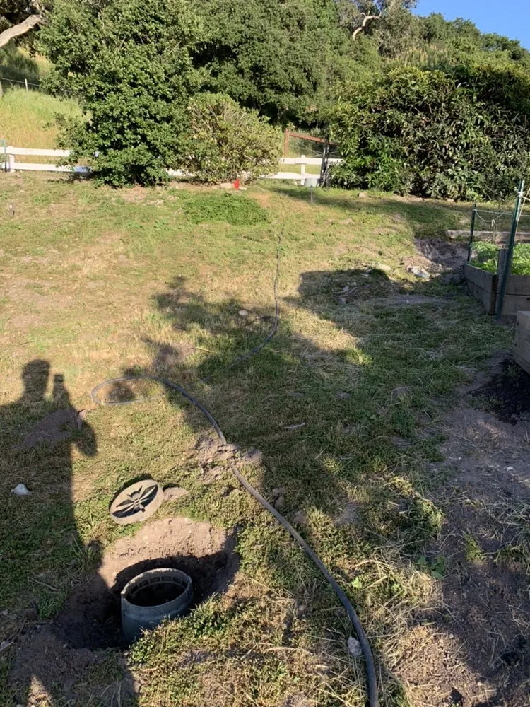 Local yard maintenance in Santa Maria, CA by Jv Performance Landscape