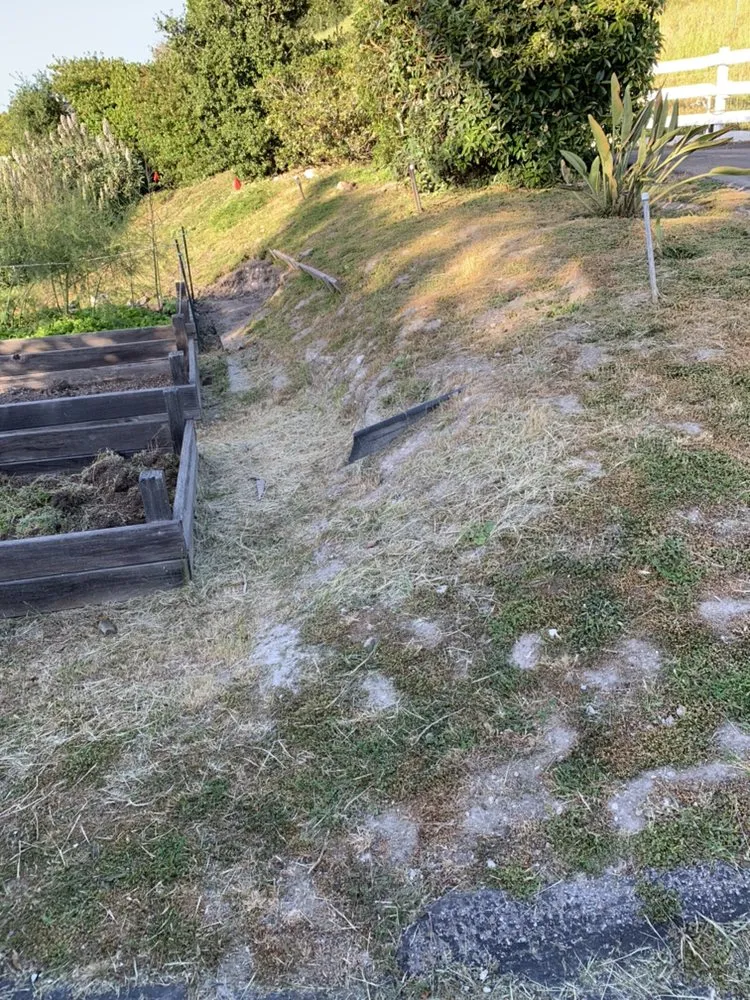 Trusted landscaping services for residential properties in Santa Maria, CA by Jv Performance Landscape