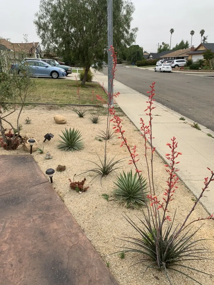 Professional outdoor landscaping in Santa Maria, CA by Jv Performance Landscape