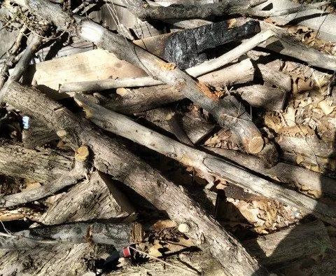 Custom landscape design experts serving Goddard, KS - JV Property Maintenance