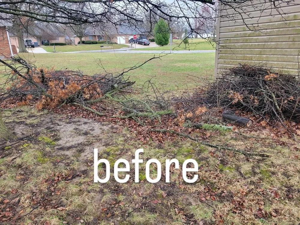 Affordable landscape design near you in Daleville, IN by Jv Services