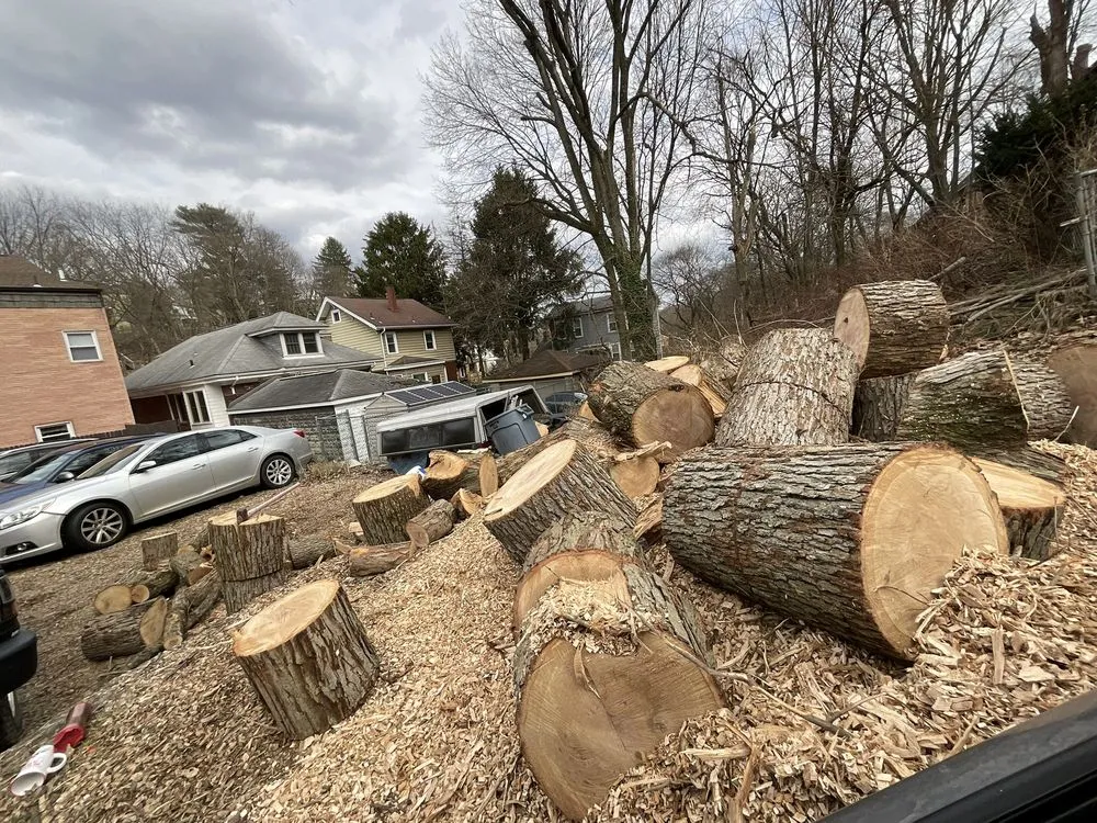 Professional residential landscaping for beautiful yards across Pittsburgh, PA - J&V Services