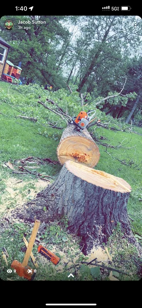 Local landscaping services in Pittsburgh, PA by J&V Services