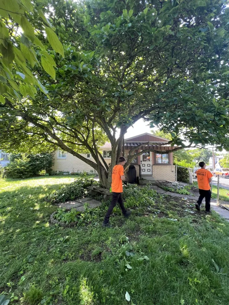 Reliable residential landscaping for homes in Pittsburgh, PA by J&V Services