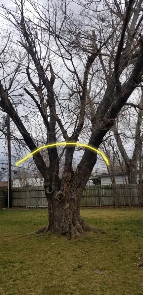 Professional yard maintenance for outdoor upgrades in Garland, TX by JV Tree Service and Landscaping