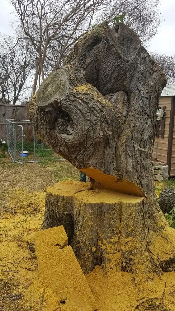 Custom yard maintenance for beautiful yards across Garland, TX - JV Tree Service and Landscaping