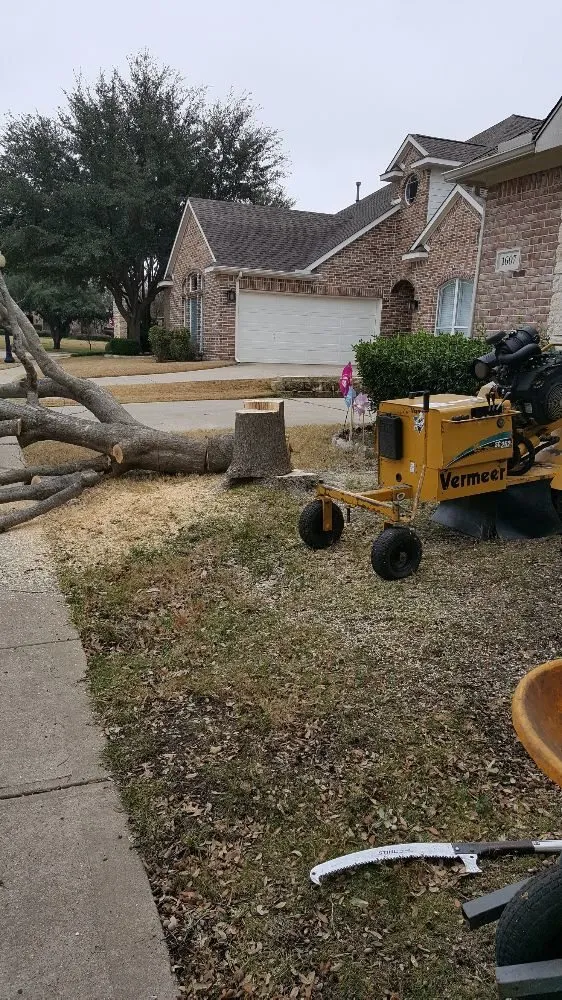 Trusted lawn mowing service for outdoor upgrades in Garland, TX by JV Tree Service and Landscaping