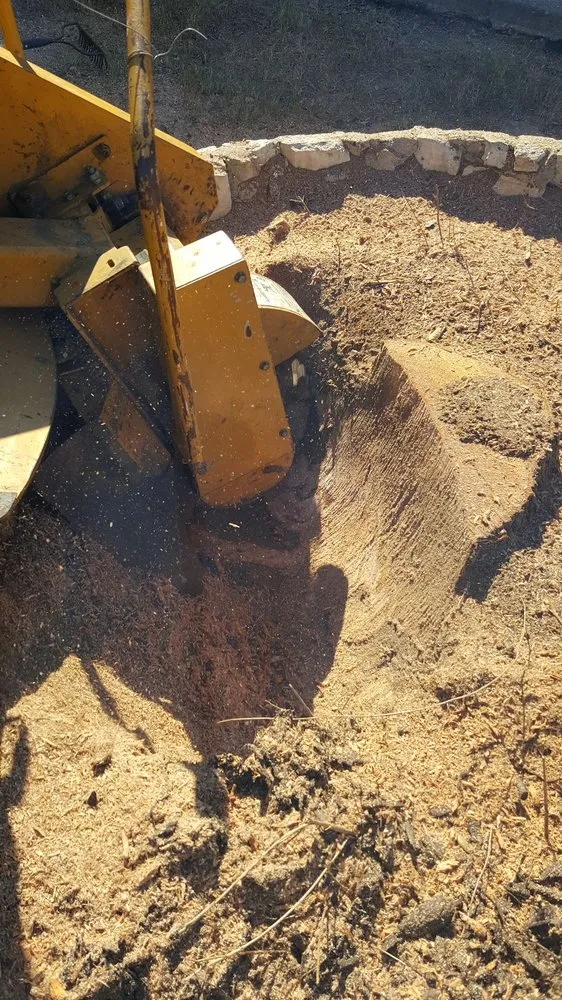 Professional outdoor landscaping in Garland, TX by JV Tree Service and Landscaping