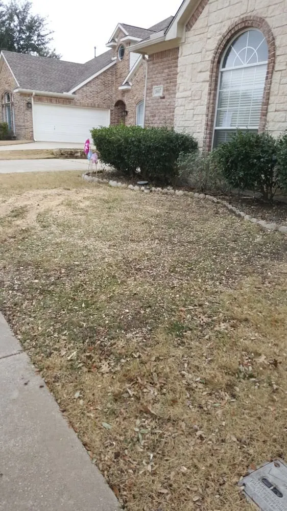 Expert garden landscaping for beautiful yards in Garland, TX by JV Tree Service and Landscaping