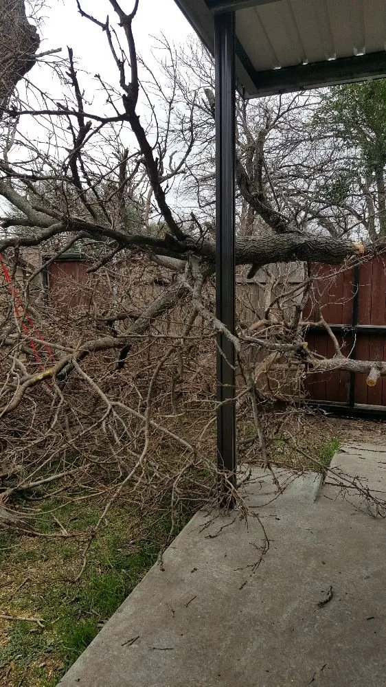 Trusted landscaping services in Garland, TX - JV Tree Service and Landscaping