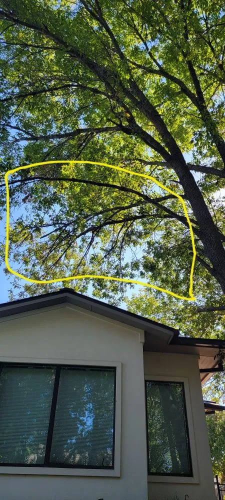 Professional lawn care service in Garland, TX by JV Tree Service and Landscaping