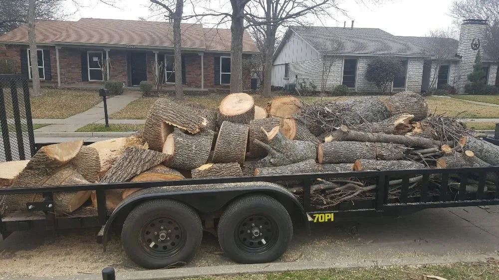Local garden landscaping in Garland, TX - JV Tree Service and Landscaping