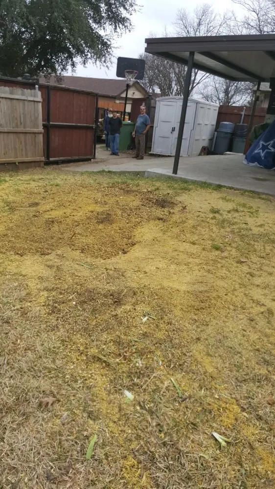 Custom landscape installation in Garland, TX by JV Tree Service and Landscaping