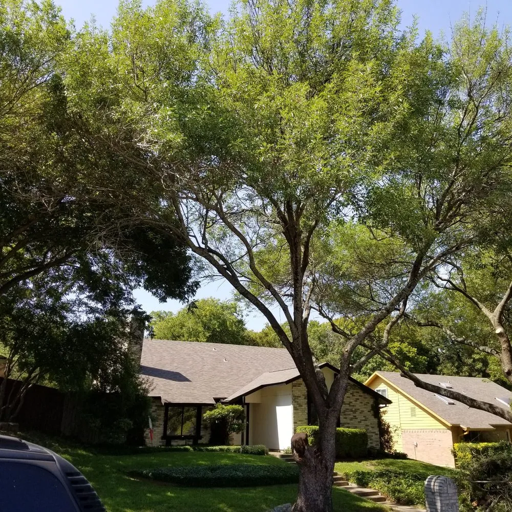 Trusted landscape installation in Garland, TX by JV Tree Service and Landscaping