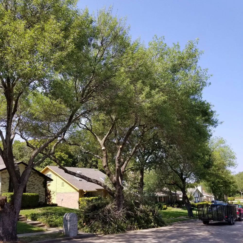 Affordable landscape installation in Garland, TX - JV Tree Service and Landscaping