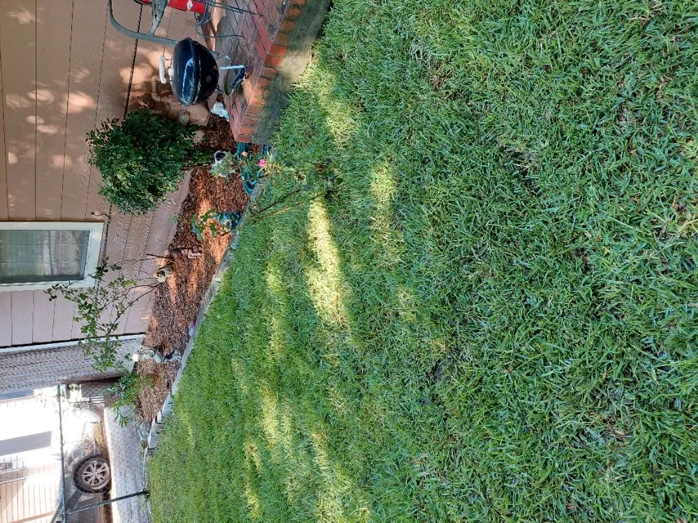 Affordable landscaping services in Dallas, TX by JVC Landscape & Handyman Service