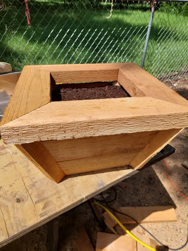 Top-rated outdoor landscaping for beautiful yards in Dallas, TX by JVC Landscape & Handyman Service