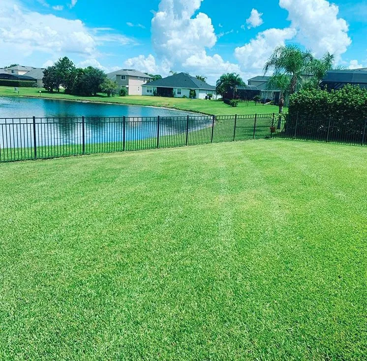 Expert landscaping services in Davenport, FL by JVCO