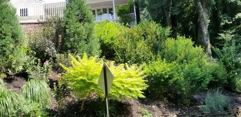 Reliable landscape installation in Red Bank, NJ - JVD Handyman Landscaping