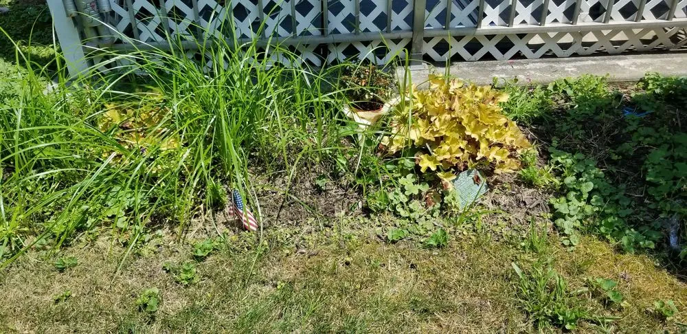 Trusted landscape design experts serving Red Bank, NJ - JVD Handyman Landscaping