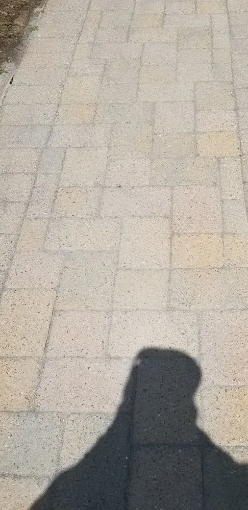 Affordable landscaping services for residential properties in Red Bank, NJ by JVD Handyman Landscaping