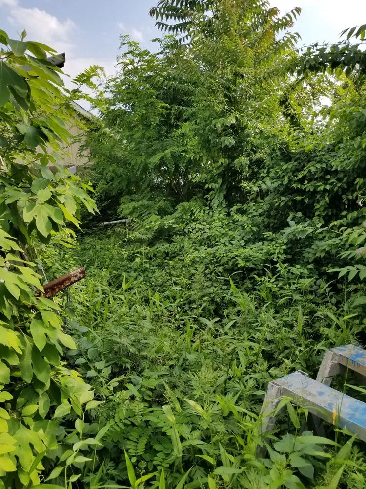 Custom landscape design for residential properties in Red Bank, NJ by JVD Handyman Landscaping