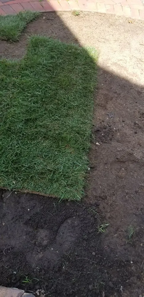 Local landscape installation for outdoor upgrades across Red Bank, NJ - JVD Handyman Landscaping