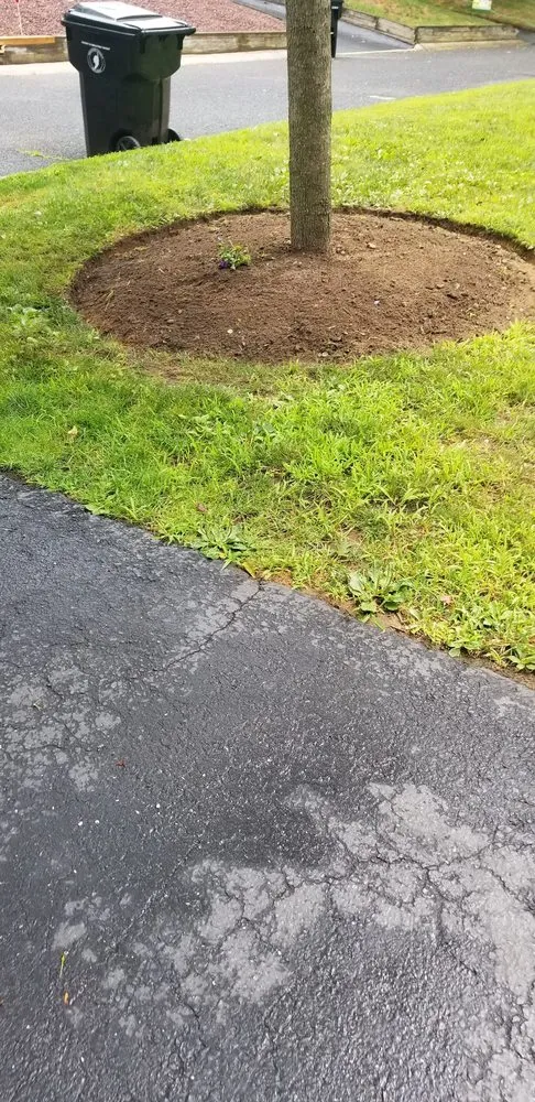 Top-rated outdoor landscaping experts serving Red Bank, NJ - JVD Handyman Landscaping