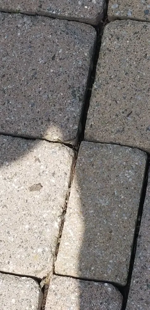 Top-rated residential landscaping with custom design across Red Bank, NJ - JVD Handyman Landscaping